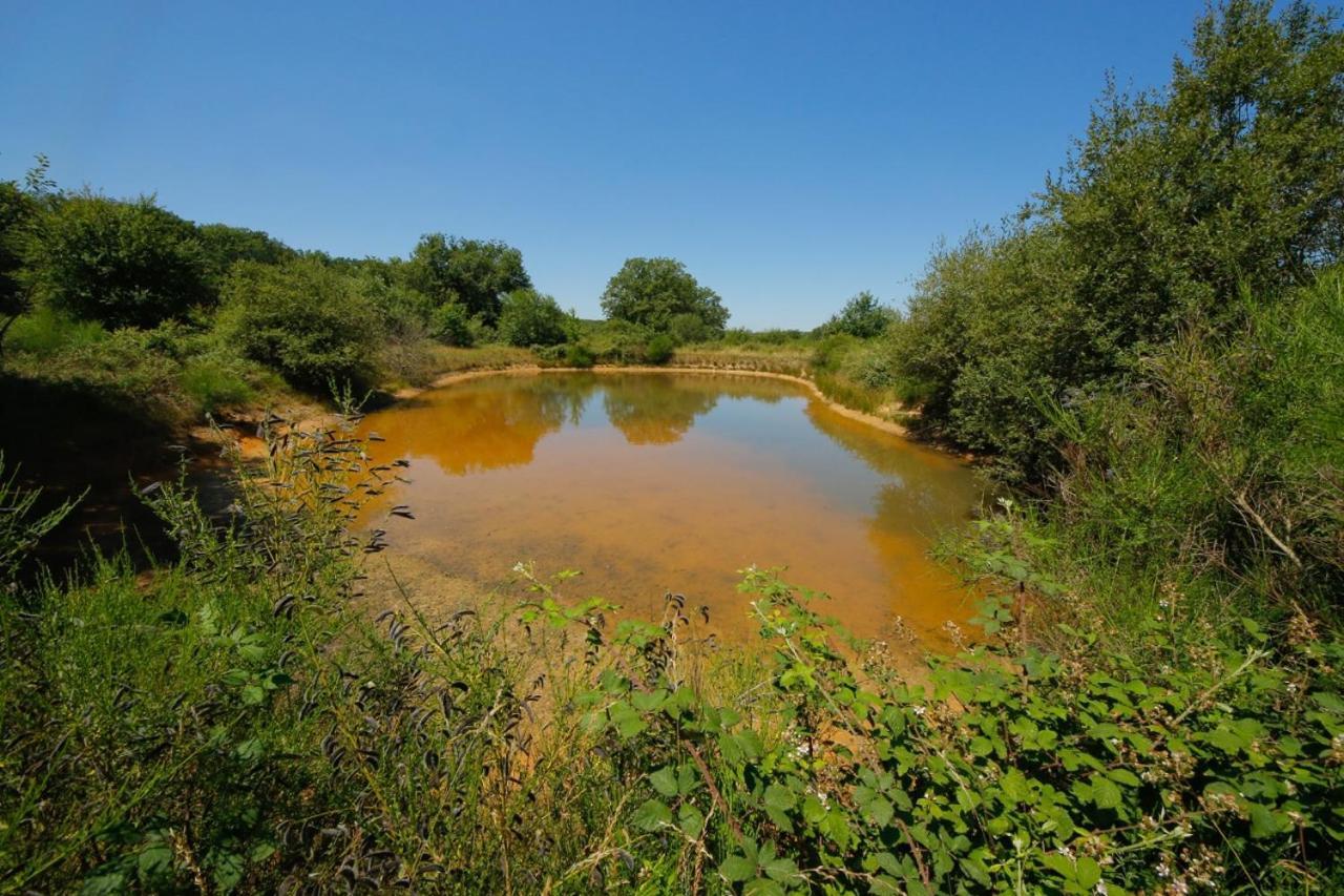 Domaine La Faix, Gite La Forestiere Saint-Plaisir Zewnętrze zdjęcie