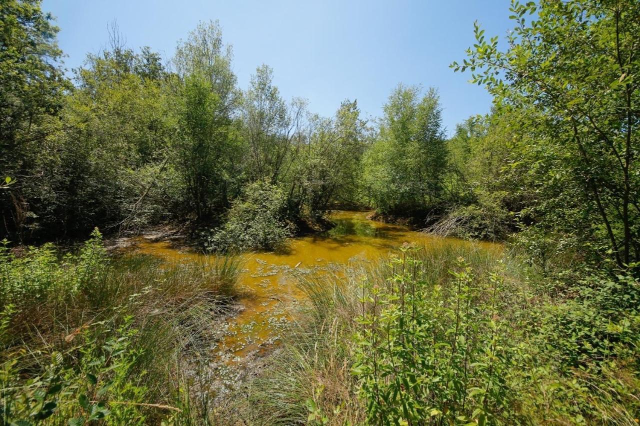 Domaine La Faix, Gite La Forestiere Saint-Plaisir Zewnętrze zdjęcie