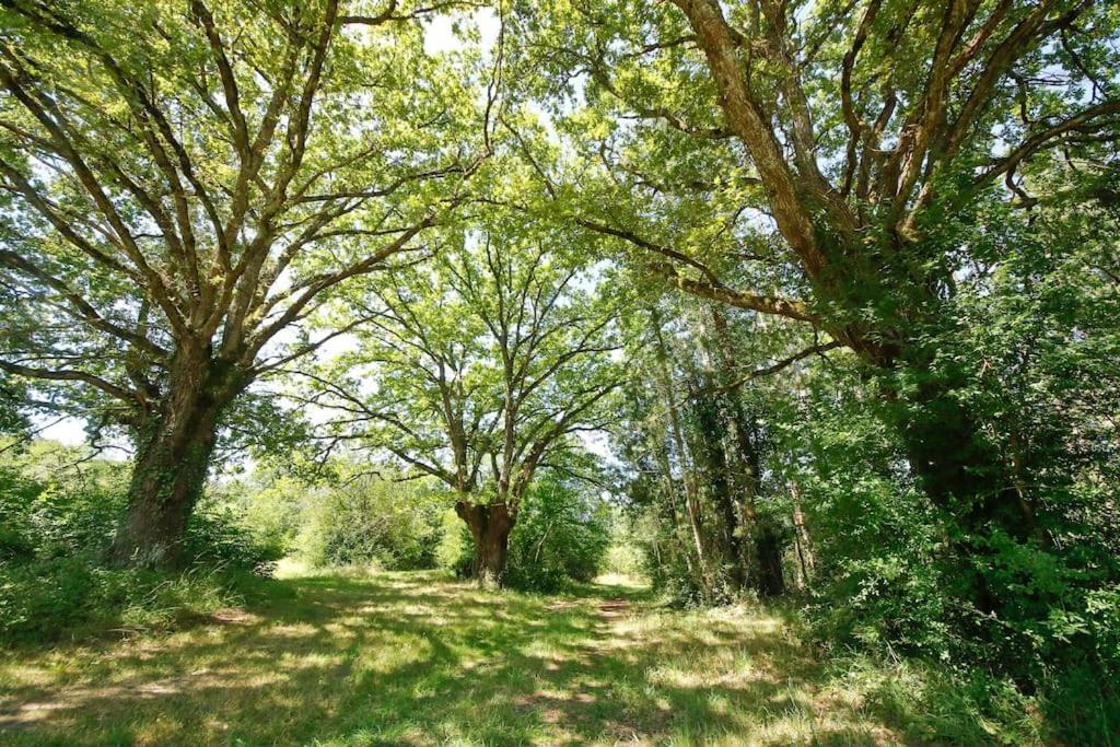 Domaine La Faix, Gite La Forestiere Saint-Plaisir Zewnętrze zdjęcie